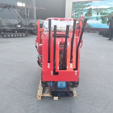 0.6 Ton Mini Rubber Track Dumper Crawler Transporter For Sale